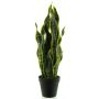 Konstgjord suckulent Sansevieria ANQING i dekorativ kruka, grön-gul, 50cm