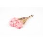 Torkad stråblomsterbukett BIBIANA, blekrosa, 30-40cm, Ø15cm