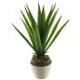 Dekorativ suckulent Aloe Vera SHURUI i keramikkruka, grön, 45cm