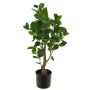 Plastväxt Fiederaralie SHANG, konstgjord stam, grön, 65cm
