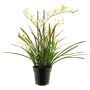 Konstblomma Cymbidium-orkidé XINGUI, krämrosa, krämfärgad-cerise, 70cm