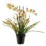 Konstblomma Cymbidium-orkidé XINGUI, rosa-grön, 70cm