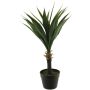 Dekorativ suckulent Agave furcraea gigantea HUISHAN, dekorativ kruka, grön, 75cm