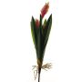 Konstgjord växt Bromelia MINSHUO med blommor, på pinne, cerise-grön, 55cm