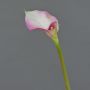 Konstgjord calla MARIOLA, rosa-vit, 80cm, 8x15cm