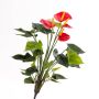 Konstblomma Anthurium LORIE på stativ, röd, 55cm, 6x8cm
