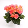 Konstgjord begonia IVANA på stativ, rosa, 20cm, Ø3-5cm