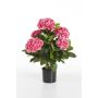 Konstgjord hortensia HARUKA, rosa, 55cm, Ø10-15cm