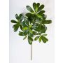 Konstgjord klebsamen-gren MASON, 40cm