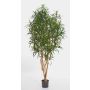 Konstgjord Dracaena Reflexa Anita KAYLIN, naturstammar, grön, 180cm