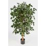 Konstgjord Ficus Benjamini DECIO, naturstammar, grön, 180cm