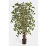 Konstgjord Ficus Benjamini JARLAN, äkta stammar, grön-vit, 150cm