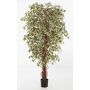 Konstgjord Ficus Benjamini DAKU, naturstammar, grön-vit, 90cm
