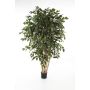 Konstgjord Ficus Benjamini DAREL, äkta stammar, grön, 240cm