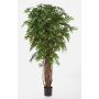Konstgjord Ficus Benjamini ALIRIO, naturliga stammar, grön, 210cm