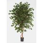 Konstgjord Ficus Benjamina DAMINO, äkta stammar, grön, 210cm