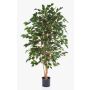 Konstgjord Ficus Benjamina THIAGO, naturstammar, grön, 210cm