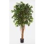 Konstgjord Ficus Benjamina AURIOL, äkta stammar, grön, 180cm