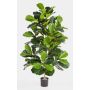 Konstgjord Ficus Lyrata MORENA, äkta stam, grön, 130cm