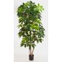 Konstgjord Schefflera COOPER, äkta stammar, grön, 220cm
