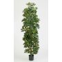 Konstgjord Schefflera ANDREW, naturstammar, grön-vit, 180cm