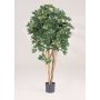 Konstgjord Schefflera SIENNA, äkta stammar, grön, 140cm