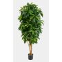 Konstgjord Schefflera MADDISON, naturstammar, grön, 170cm