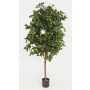Konstgjord Camellia Japonica RIKA, äkta stam, blommor, vit, 170cm