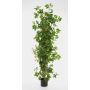 Konstväxt vinranka NIKA, naturstammar, grön, 100cm