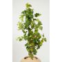 Decorative Vine plant IDA, green, 4ft/120cm