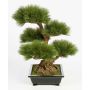 Konstbonsai, tall TAYLOR med rötter, i keramikskål, 70cm