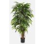 Konstträd Longifolia PARI, naturliga stammar, 150cm