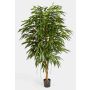 Konstgjord Longifolia-träd HISA, naturstam, 210cm