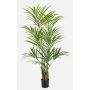 Konstgjord Kentia-palm OMAYRA, 170cm