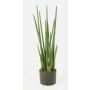 Konstgjord Sansevieria Cylindrica MERVE, grön, 100cm