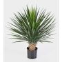 Konstgjord Yucca rostrata RAFFAELA, buskig, 80cm