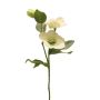 Dekorativ gren snörosa SHIEN, frusen, vit, 55cm