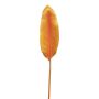 Dekorationsblad Strelitzia YISHAO, orange-rosa, 90cm