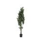 Plastic Schefflera PAMINA, artificial stems, green-white, 4ft/120cm