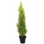 Plastcypress MINNA, i kruka, crossdoor, ljusgrön, 90cm