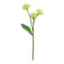 Dekorationsblomma gräsnejlika YISHU, ljusgrön, 30cm