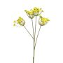 Dekorativ kvist med dillblommor LITIAN, gul, 70cm