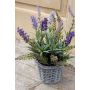 Textil-lavendel KIRSA i flätad korg, violett, 30cm, Ø1-2cm