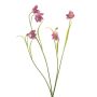 Konstgjord gren med schackbrädesblomma PITARA, cerise-vit, 50cm