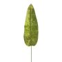 Sammetbananblad AOXUE, grönt, 70cm