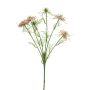 Konstgjord gren med svart kummin TIANKE, rosa-krämfärgad, 65cm, Ø7-8cm