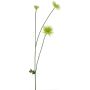 Konstblomma krysantemum YUNJUAN, krämfärgad, 60cm