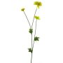 Konstblomma, krysantemum YUNJUAN, gul, 60cm