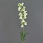 Konstblomma, blåklocka LINMIN, krämfärgad, 95cm, Ø3-5cm