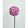 Konstgjord allium LOKJAN, cerise, 70cm